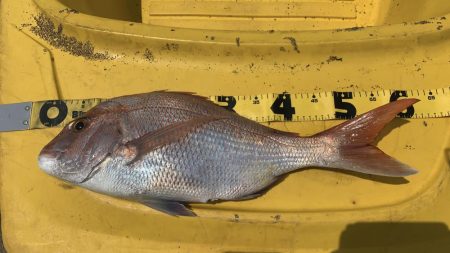 はじめてのカヤックフィッシング