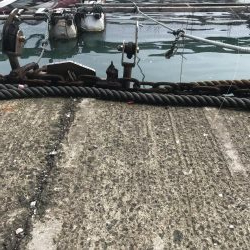 フラットフィッシュのディゲーム