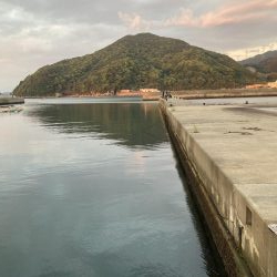 イナバ「とびつく」で・・・