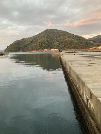 イナバ「とびつく」で・・・