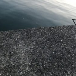 パワーミニイソメで3目GET