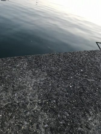 パワーミニイソメで3目GET