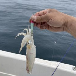 マイボートで午前中釣行