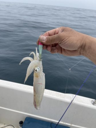 マイボートで午前中釣行