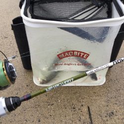 情報をもとにアジング調査