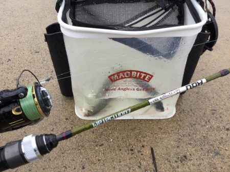 情報をもとにアジング調査