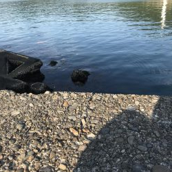 クローワームでディゲーム