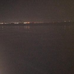 人生初のメジロ ‼︎