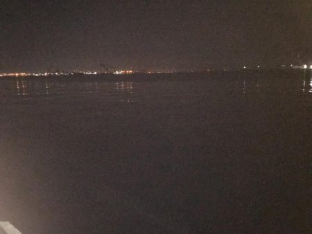 人生初のメジロ ‼︎