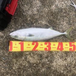 誰もいない波止場で根性決めた