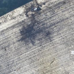 雨やのに、、、