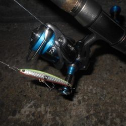 5/8バチパターン調査