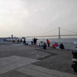 大きなメバルはどこへ？ part.Ⅵ