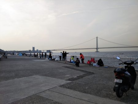 大きなメバルはどこへ？ part.Ⅵ