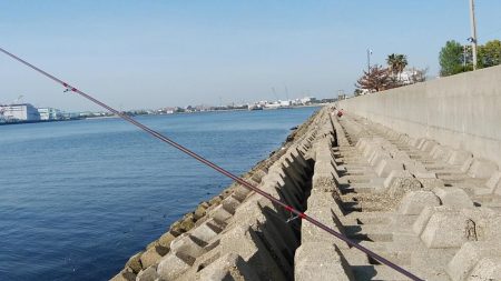 東二見西水路釣行