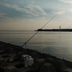 東二見西水路のキス調査