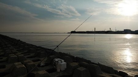 東二見西水路のキス調査