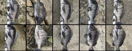 イチノ兄弟、釣果！