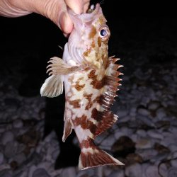 フロートメバリング