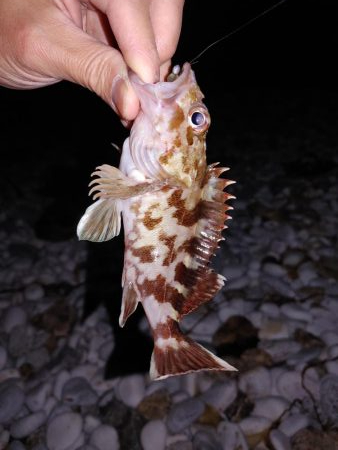 フロートメバリング