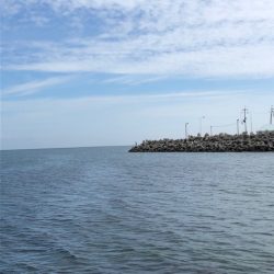 まさに時合!3投3釣