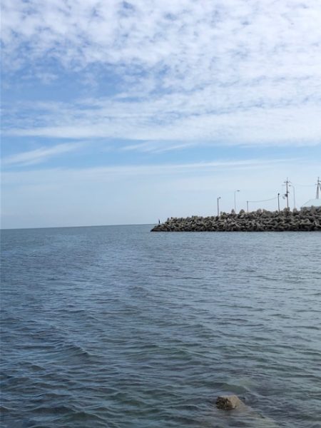 まさに時合!3投3釣