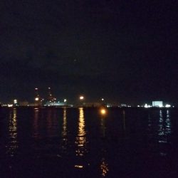 メバルあじ好調