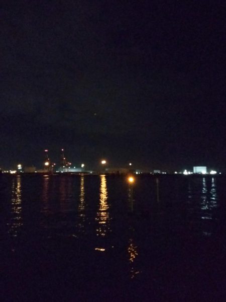 メバルあじ好調