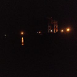 数だけは爆釣でした