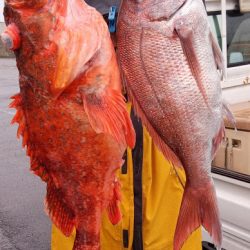 康仁丸・ジギング釣り果