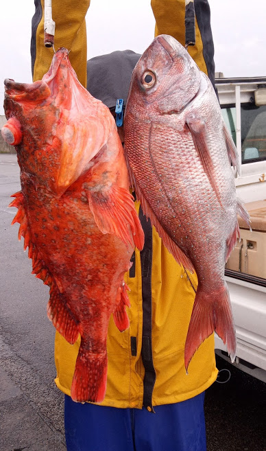康仁丸・ジギング釣り果