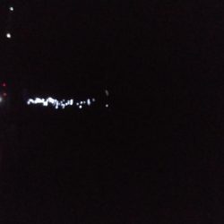 出ました25cmメバル