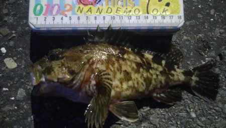 釣りデビュー 157日目