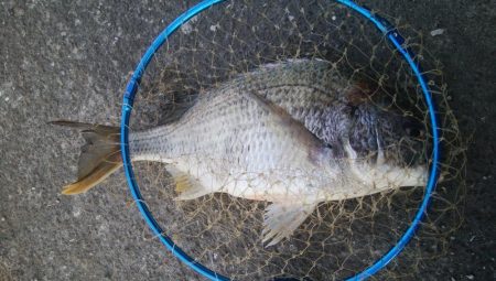 釣りデビュー 162日目