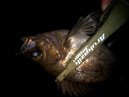 二匹目のドジョウ