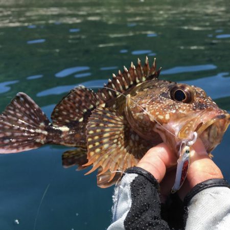 A.P.Pフィッシングガイドサービス　カヤックフィッシング日和で、アカハタを初RIDEONキャッチ！