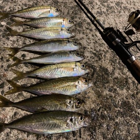 A.P.Pフィッシングガイドサービス　雨の…