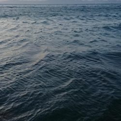 多忙からの、お祭り！