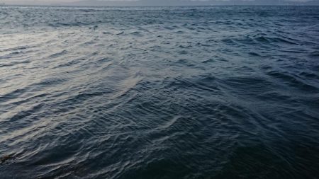 多忙からの、お祭り！