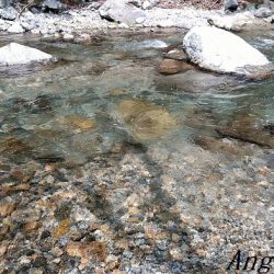 昼前後の釣行で22匹ゲット！