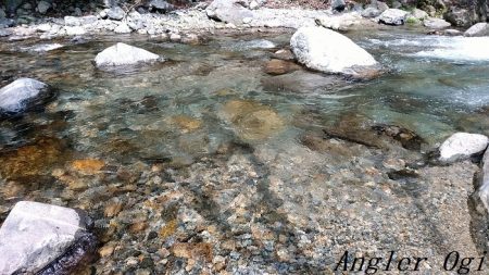 昼前後の釣行で22匹ゲット！