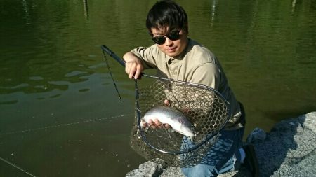 フィッシングエリア帝釈 釣果