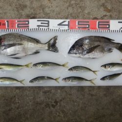 のとじま臨海公園海づりセンター 釣果