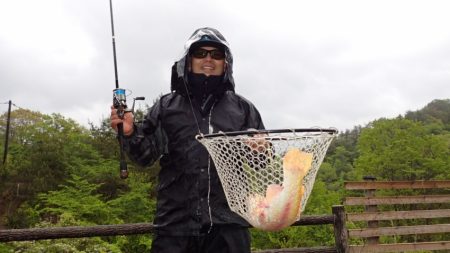 フィッシングレイクたかみや 釣果