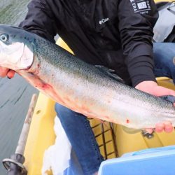 フィッシングレイクたかみや 釣果