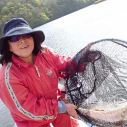 フィッシングレイクたかみや 釣果