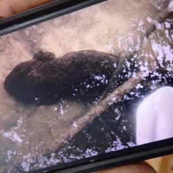 フィッシングレイクたかみや 釣果