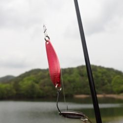 フィッシングレイクたかみや 釣果