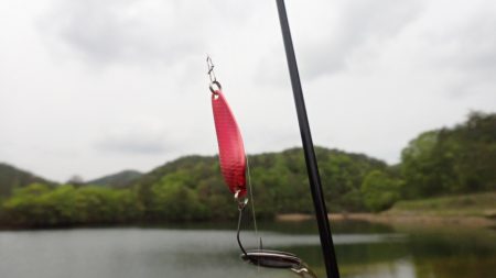 フィッシングレイクたかみや 釣果
