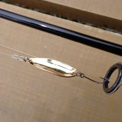 フィッシングレイクたかみや 釣果